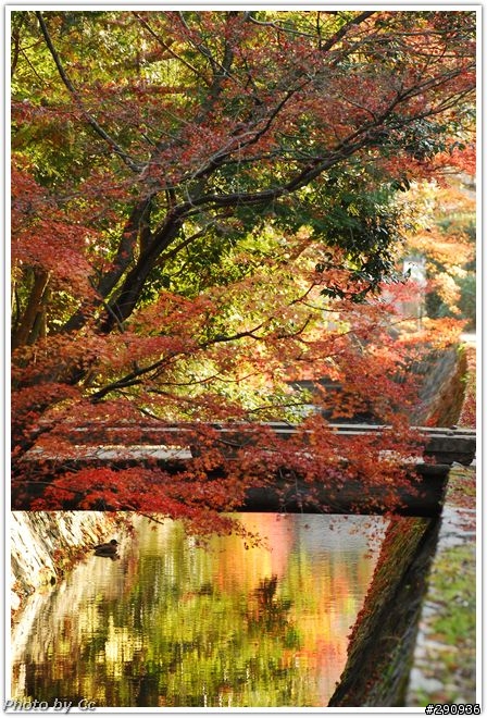 2010-深秋的日本行-單攻
