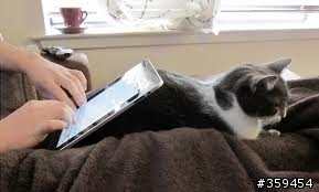 大家怎麼躺著看Tablet PC