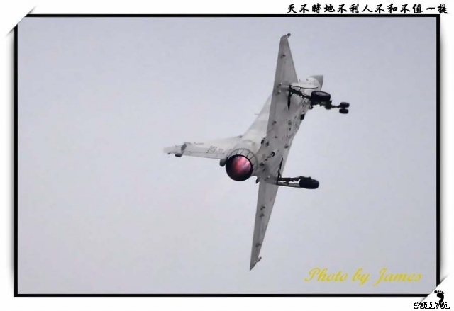 新竹打鳥趣(圖多礙眼請見諒)
