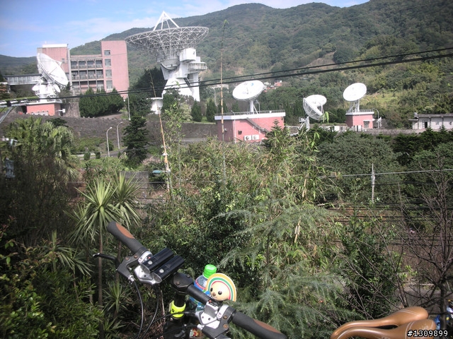 2010年12/05 NeverStop  永不放棄挑戰陽金P字山道