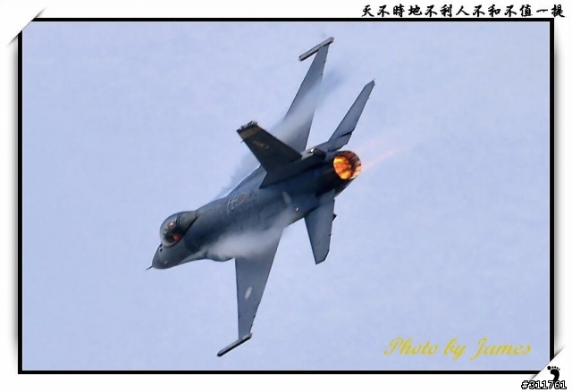 新竹打鳥趣(圖多礙眼請見諒)
