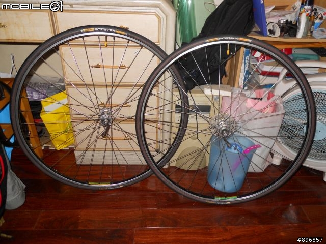 [開箱文]馬牌管胎簡易開箱文_SPRINTER GATORSKIN