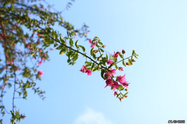 我的 Canon EF 24mm f/1.4L II USM 開箱 & 心路歷程簡單分享