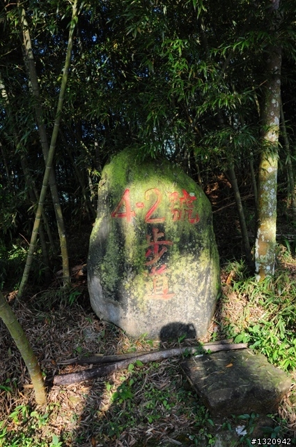 陪我減肥的D-90  雲林古坑  登山步道一遊[圖多]