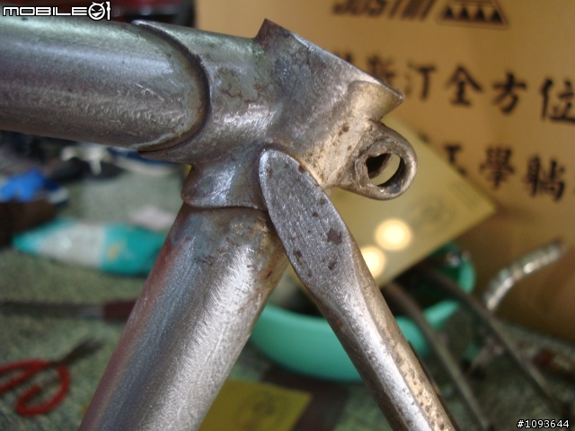 老鋼管翻新[我的假貨colnago，快樂騎乘中]    出沒地:往永安漁港沿途