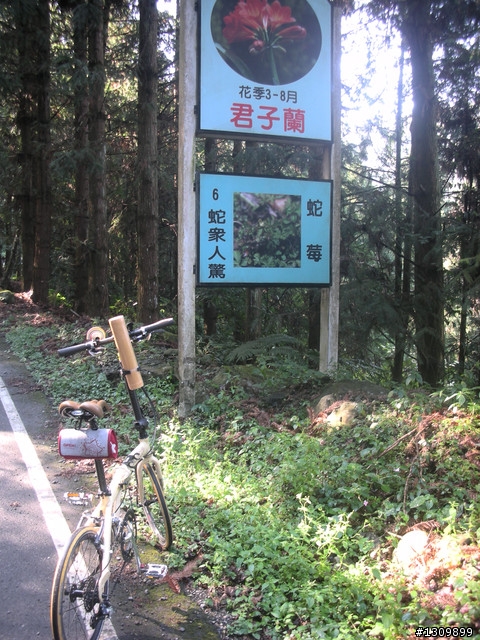 告別2010最後一場，絕色151竹溪杉自行車挑戰賽