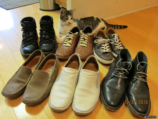 [分享]cole haan nike air休閒鞋 雅痞鞋 靴子