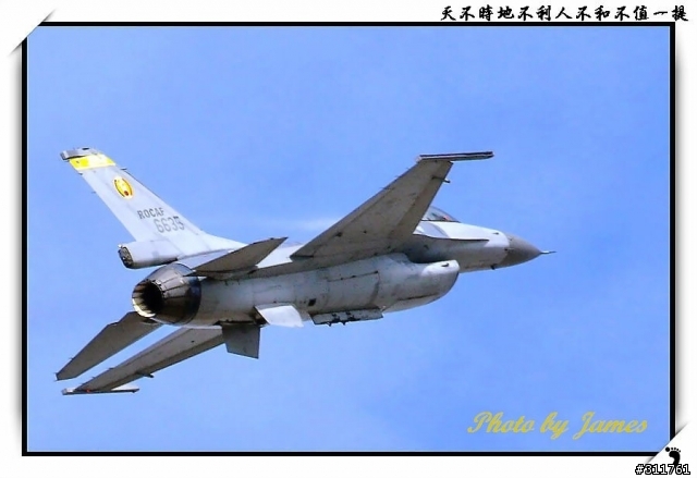 新竹打鳥趣(圖多礙眼請見諒)