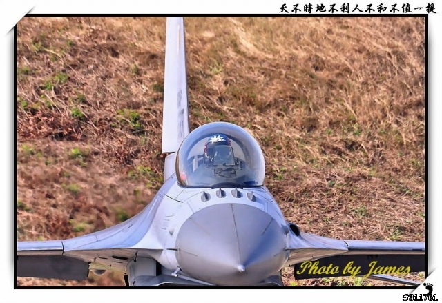 新竹打鳥趣(圖多礙眼請見諒)
