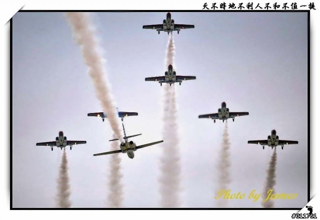 新竹打鳥趣(圖多礙眼請見諒)