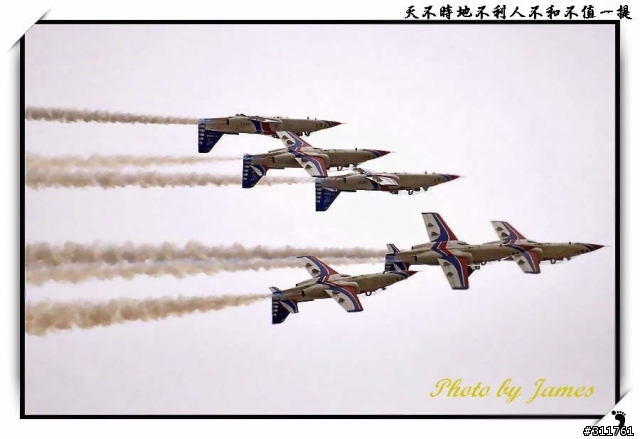 新竹打鳥趣(圖多礙眼請見諒)