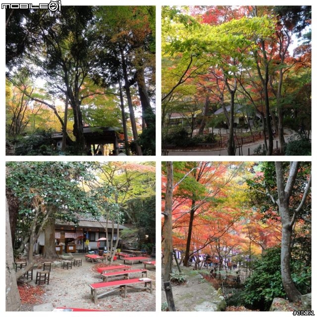 [遊記] 日本京都、奈良五日遊 （賞楓之旅）『圖多，慎入』
