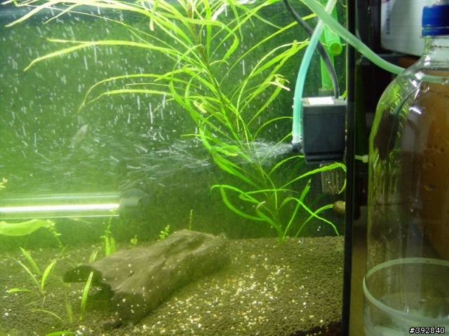 自創的"點滴式"Co2產生器