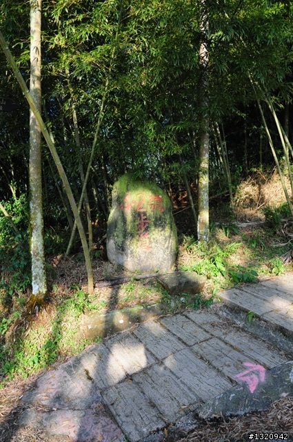 陪我減肥的D-90  雲林古坑  登山步道一遊[圖多]