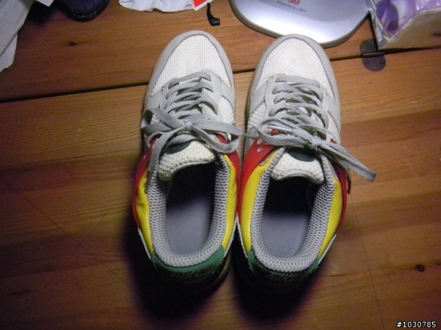 請問  nike acu dunkesto~