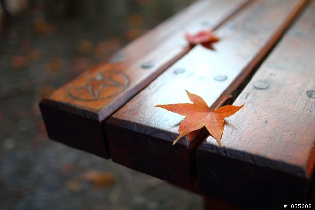 今天高美溼地好美