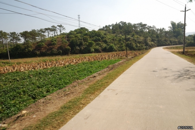 大陸遊-廣東惠州市惠東縣 鄉村遊記 (未完編輯中)