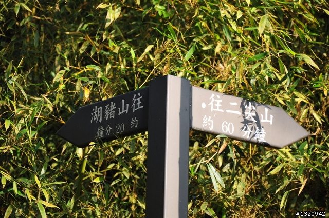 陪我減肥的D-90  雲林古坑  登山步道一遊[圖多]