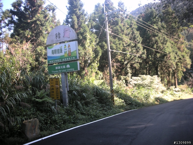 告別2010最後一場，絕色151竹溪杉自行車挑戰賽