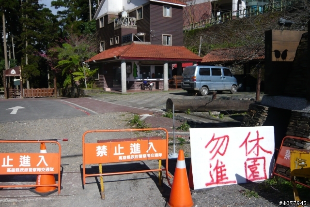 【探路】藤枝