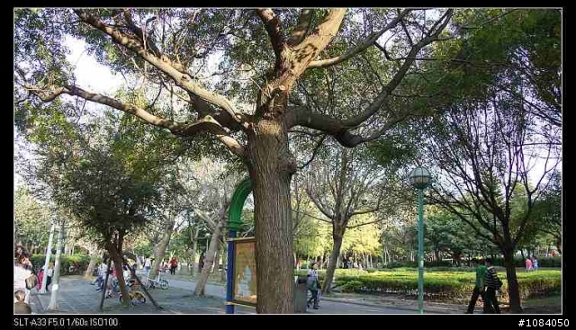 新莊運動公園適合活動的好地方