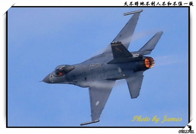 新竹打鳥趣(圖多礙眼請見諒)