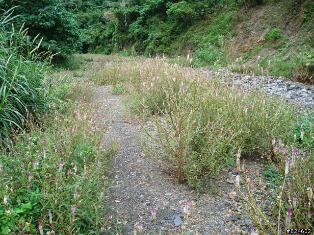 台26線阿塱壹古道 - 公路車越嶺全記錄