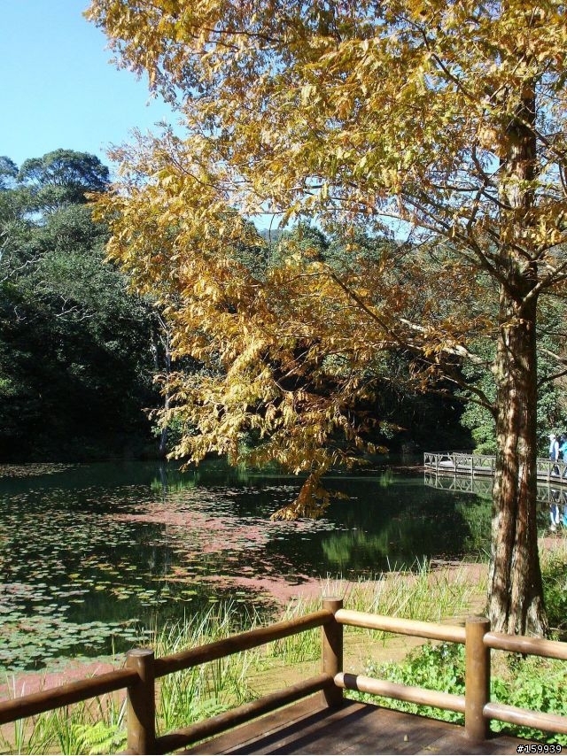 〔分享〕宜蘭福山植物園