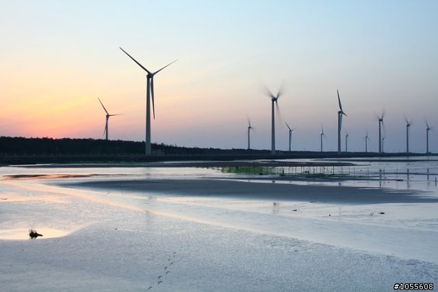 今天高美溼地好美