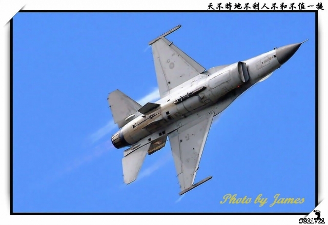 新竹打鳥趣(圖多礙眼請見諒)