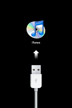 <"求救"> iPod Touch 1代 已JB 不慎升級官方韌體...死機ing...