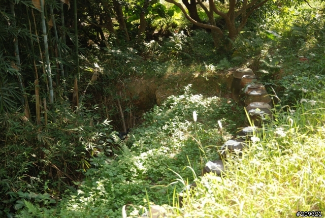 大陸遊-廣東惠州市惠東縣 鄉村遊記 (未完編輯中)