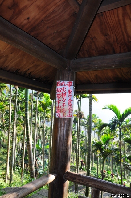 陪我減肥的D-90  雲林古坑  登山步道一遊[圖多]