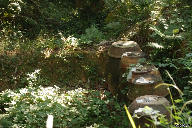 大陸遊-廣東惠州市惠東縣 鄉村遊記 (未完編輯中)