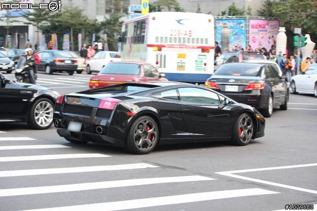 黑小牛