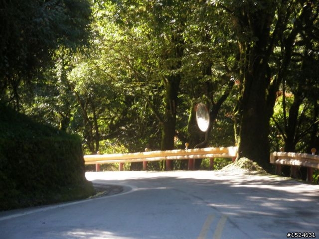 太魯閣登山賽服務記錄