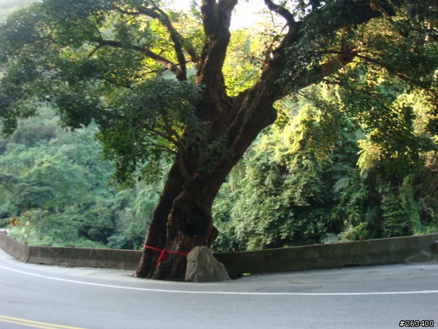 2010/12/9 翹班羅馬探路