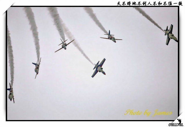 新竹打鳥趣(圖多礙眼請見諒)