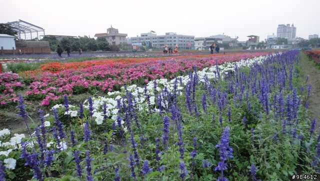 高雄大樹行記，及加碼的大寮花季