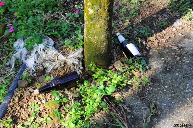 陪我減肥的D-90  雲林古坑  登山步道一遊[圖多]