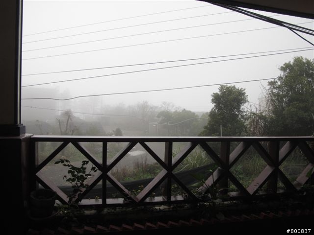 (第2天更新完成).......身體力行紅香泡溫泉&武嶺看殘雪&谷關泡溫泉