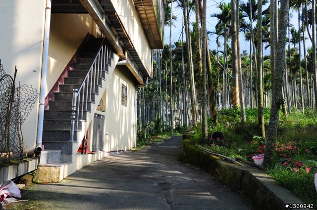 陪我減肥的D-90  雲林古坑  登山步道一遊[圖多]