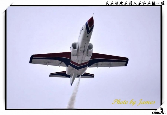 新竹打鳥趣(圖多礙眼請見諒)