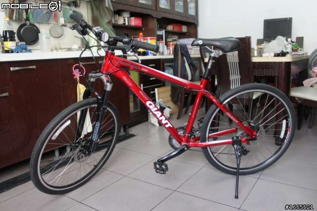 不見箱之入門登山車GIANT IGUANA DISC小紅瓜開箱文……