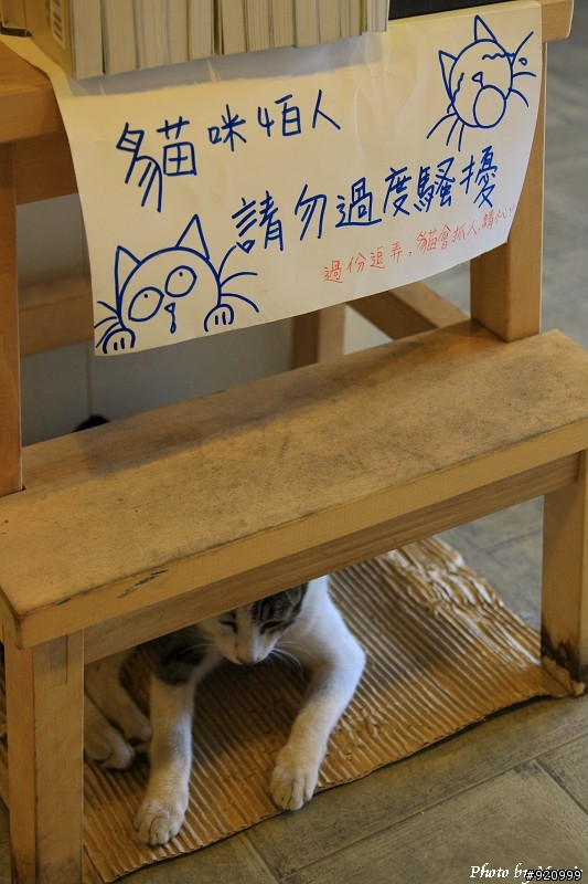 <民國100年開騎>1/1(六)有河book輕鬆悠閒團