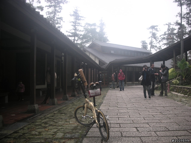 告別2010最後一場，絕色151竹溪杉自行車挑戰賽
