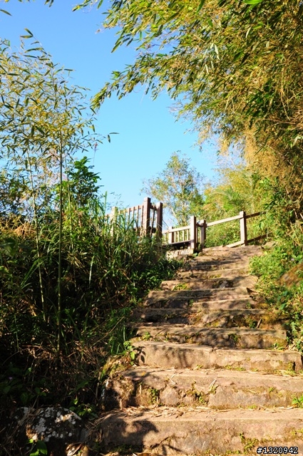 陪我減肥的D-90  雲林古坑  登山步道一遊[圖多]