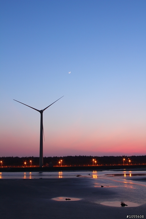 今天高美溼地好美