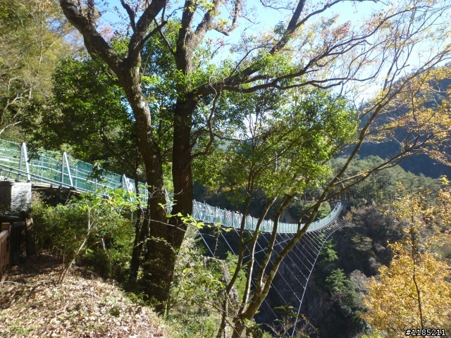 【晚楓、蒼松之奧萬大機車行-2010.12.18】