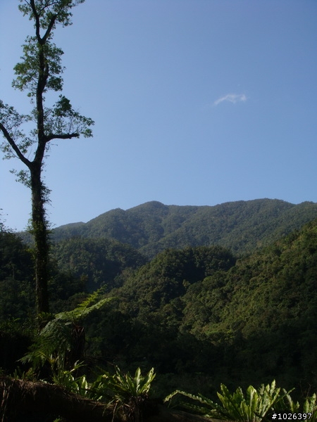 [遺憾文]消失的古魯林道前段